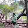 dityb