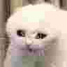 Ur_ul33