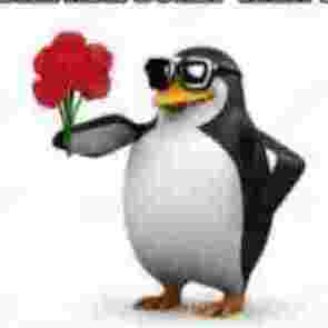 pinguin.kmntoll