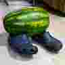 Rinoaldi